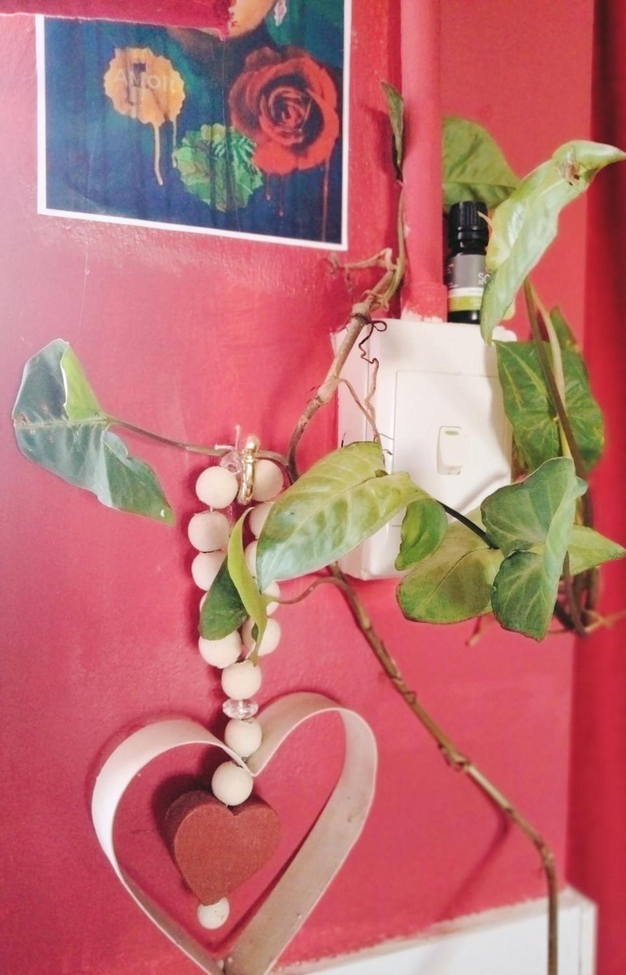 Ferienwohnung Addo'S Secret Backdoor Port Elizabeth Exterior foto